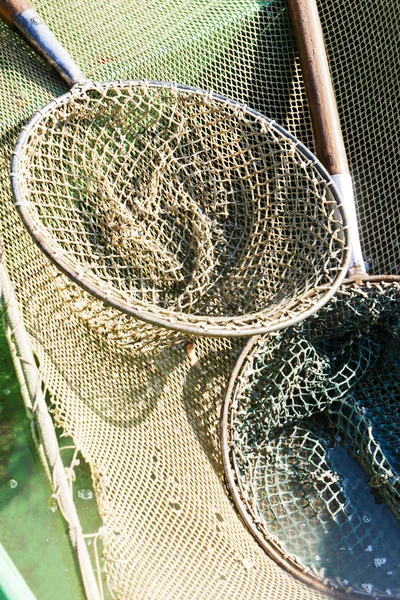 Landing nets — Stock Photo, Image