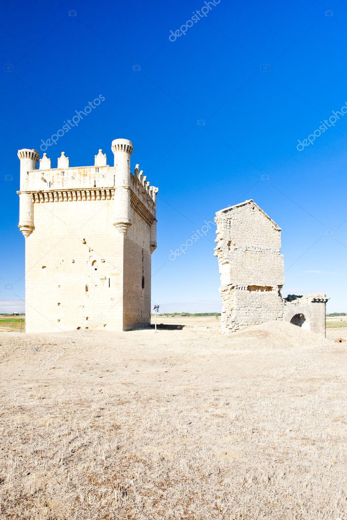 Castle of Belmonte de Campos, Castile and Leon, Spain