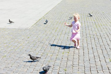 güvercinlerin küçük kız
