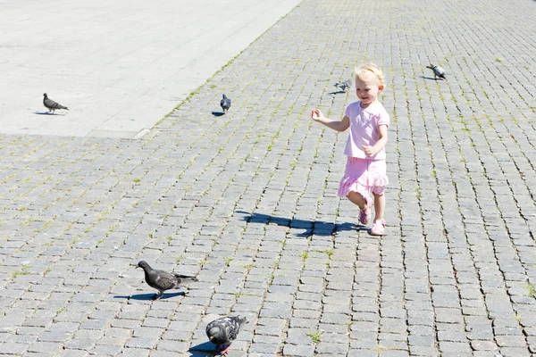Ragazzina che insegue piccioni — Foto Stock