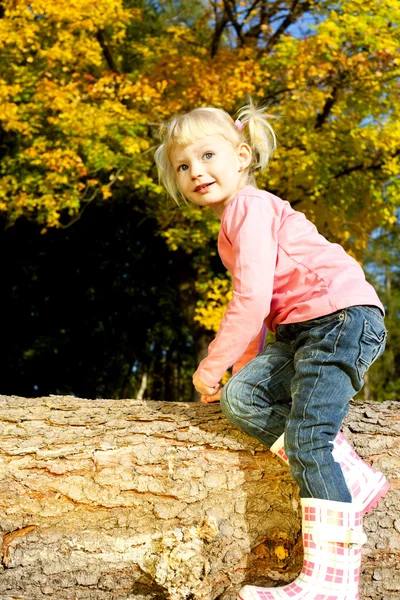 Klein meisje in de herfst natuur — Stockfoto