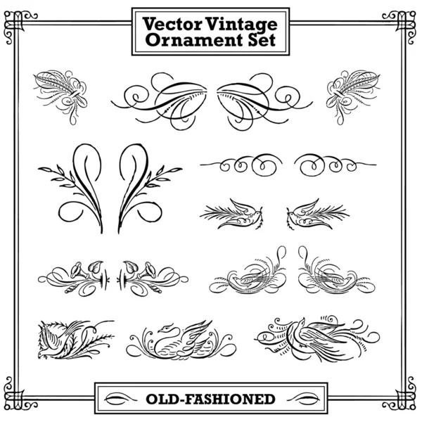 Vector Vintage Floral and Feather Ornament Set — ストックベクタ