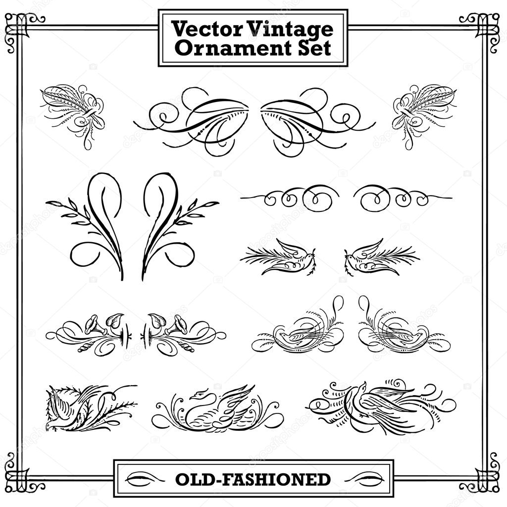 Vector Vintage Floral and Feather Ornament Set