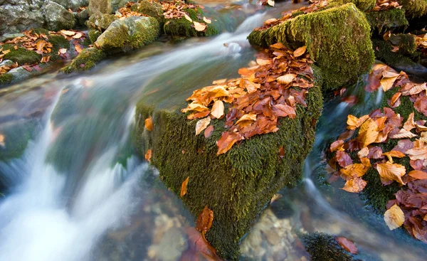秋のストリーム — ストック写真