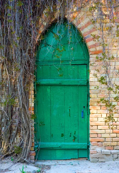 Zelený dveře — Stock fotografie