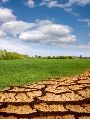 Leafless part ground ingressive on green field clipart