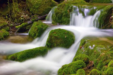 Mountain stream among green stones clipart