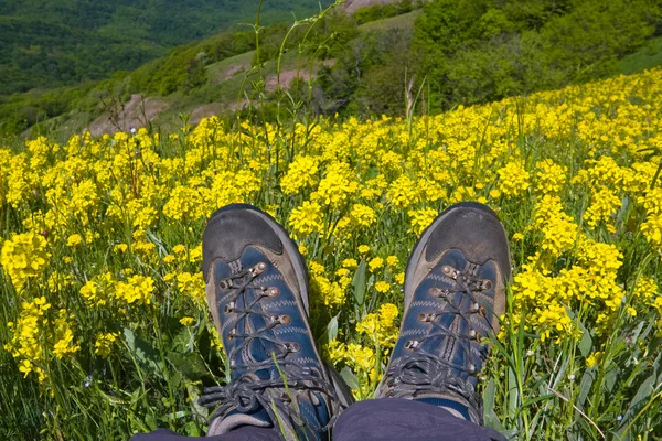 Туристские ботинки на горном лугу — стоковое фото