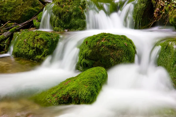 Bela cascata de riacho de montanha — Fotografia de Stock
