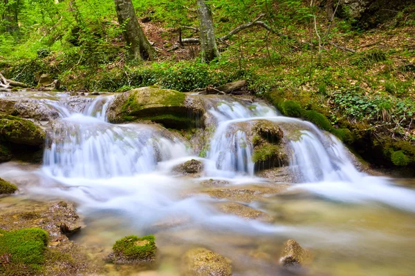 Horský potok v zeleném lese — Stock fotografie