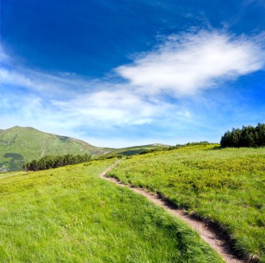 Pathway in mountains clipart