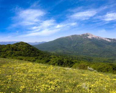 dağlar sarı çayır