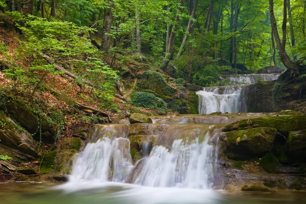 Schöner Wasserfall im grünen Wald — Stockfoto