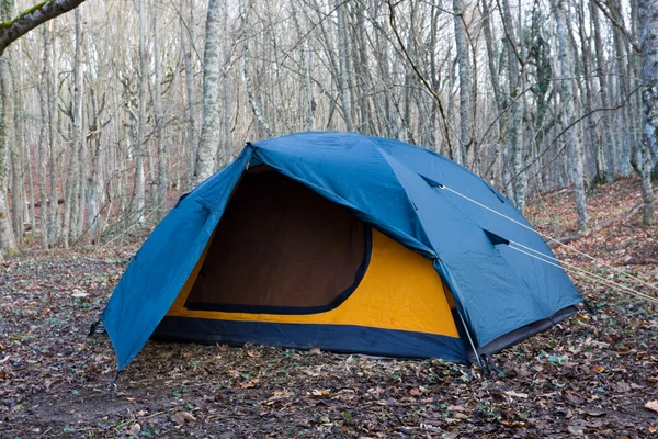 葉の落ちた森の観光客のテント — ストック写真
