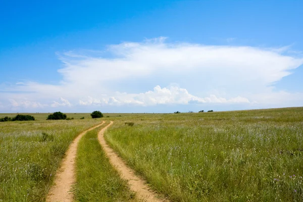 Countryside road in steppe — Stock Photo, Image