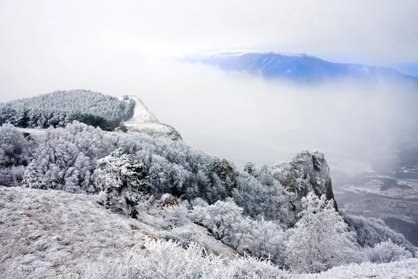 Χειμώνα στα βουνά Royalty Free Φωτογραφίες Αρχείου