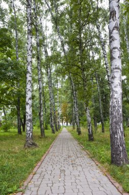 Huş sokakta park