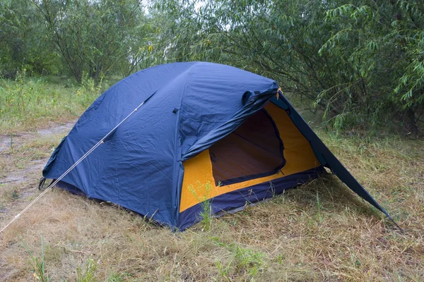 フォレスト内の観光テント — ストック写真