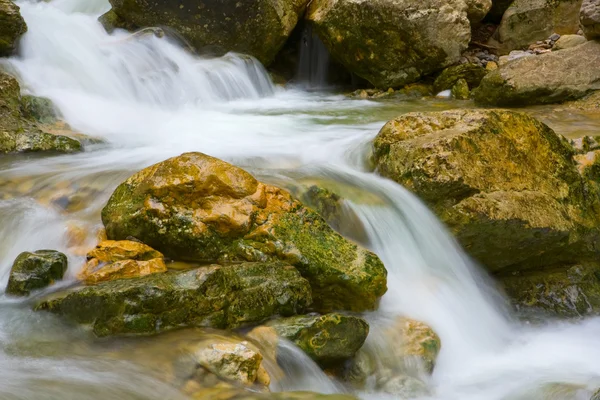 Влажные камни в ручье — стоковое фото