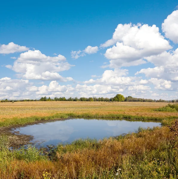 Small lake in steppe — Stock Photo, Image