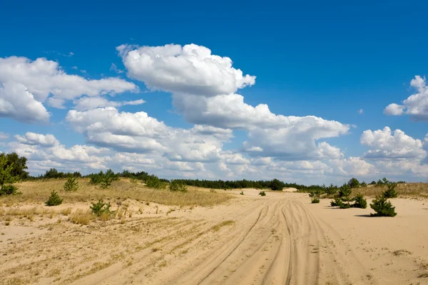 Camino en sables — Foto de Stock