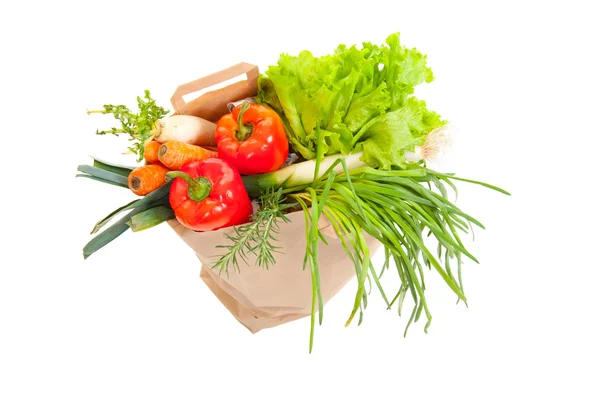 Grocery bag full of fresh vegetables Stock Picture