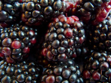 Makro görüntü blackberry