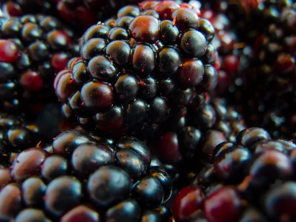 Macro image of blackberry — Stock Photo, Image