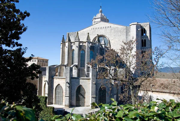ジローナ大聖堂 ロイヤリティフリーのストック画像