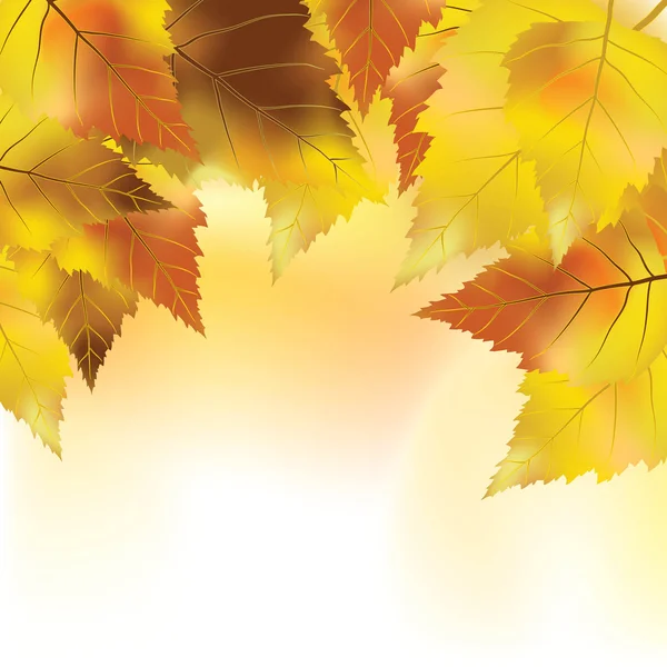Fond d'automne coloré — Image vectorielle