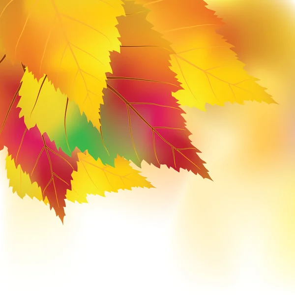 Kleurrijke herfst achtergrond — Stockvector