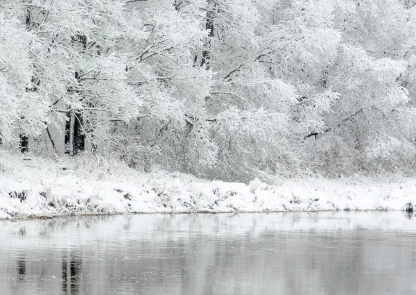 Inverno bianco — Foto Stock