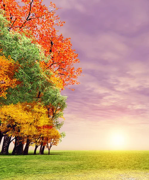 Maravilloso atardecer otoño — Foto de Stock