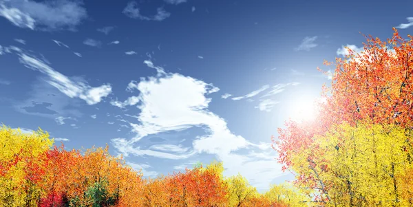 素晴らしい秋の風景 — ストック写真