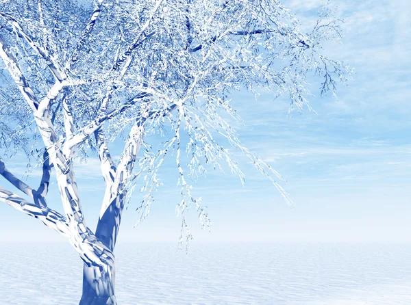 하얀 겨울 — 스톡 사진