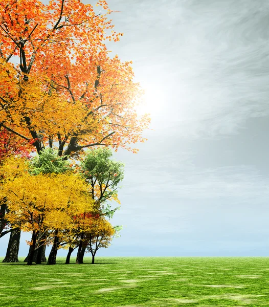 Maravilloso paisaje de otoño — Foto de Stock