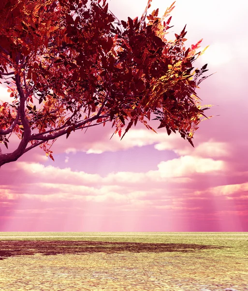 Wonderful autumn scenery — Stock Photo, Image