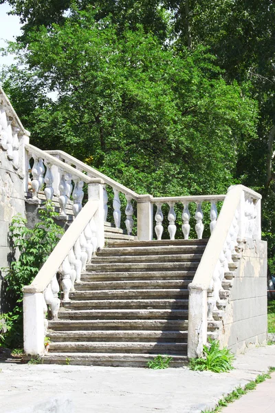 stock image Stairs in verdure