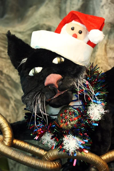 Christmas cat closeup — Stock Photo, Image