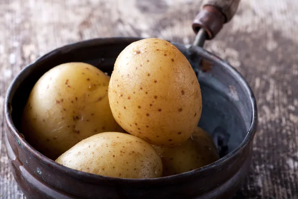 Четыре вареных картофеля в старой кастрюле — стоковое фото