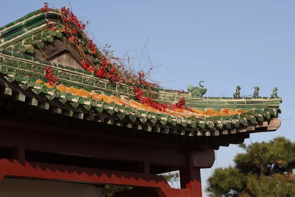 Střecha chrámu Čína — Stock fotografie
