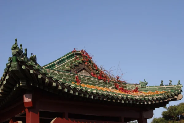 Chna templo telhado — Fotografia de Stock