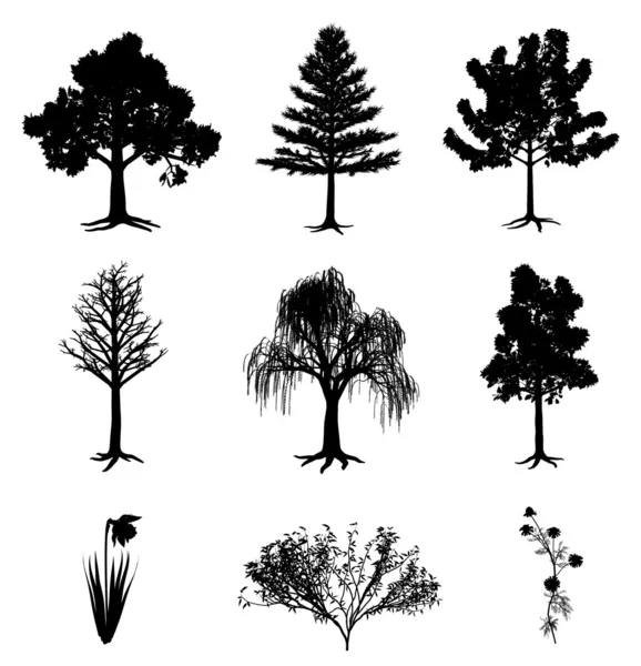 树木水仙洋甘菊和布什 — 图库矢量图片