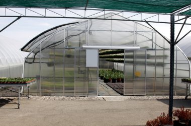 Greenhouse at a Nursery clipart