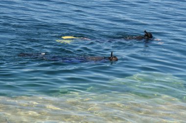 iki snorkelers