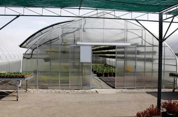 Greenhouse at a Nursery — Stock Photo, Image