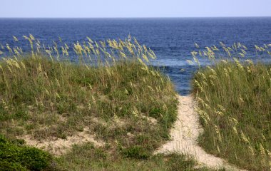 Path to the Beach clipart