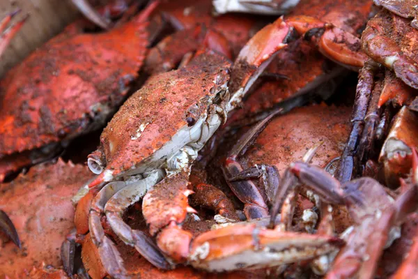 Fierbinte și murdare crabs — Fotografie, imagine de stoc