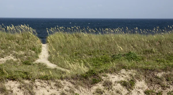 Ścieżka plaży North carolina — Zdjęcie stockowe