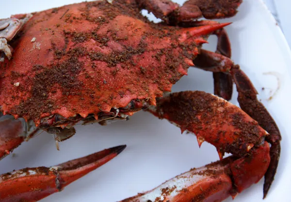 Fierbinte și murdar crab — Fotografie, imagine de stoc